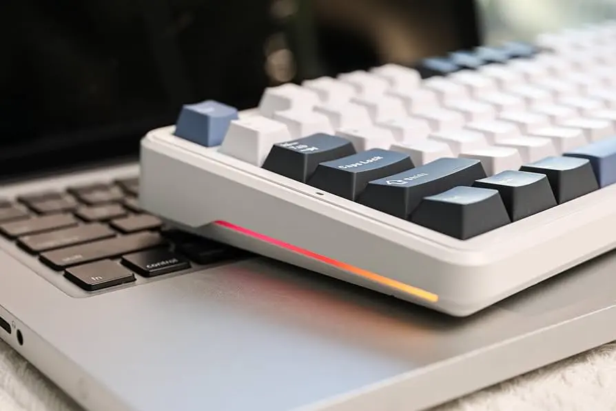 71XTLcRqiRL._AC_UF894,1000_QL80_.webp